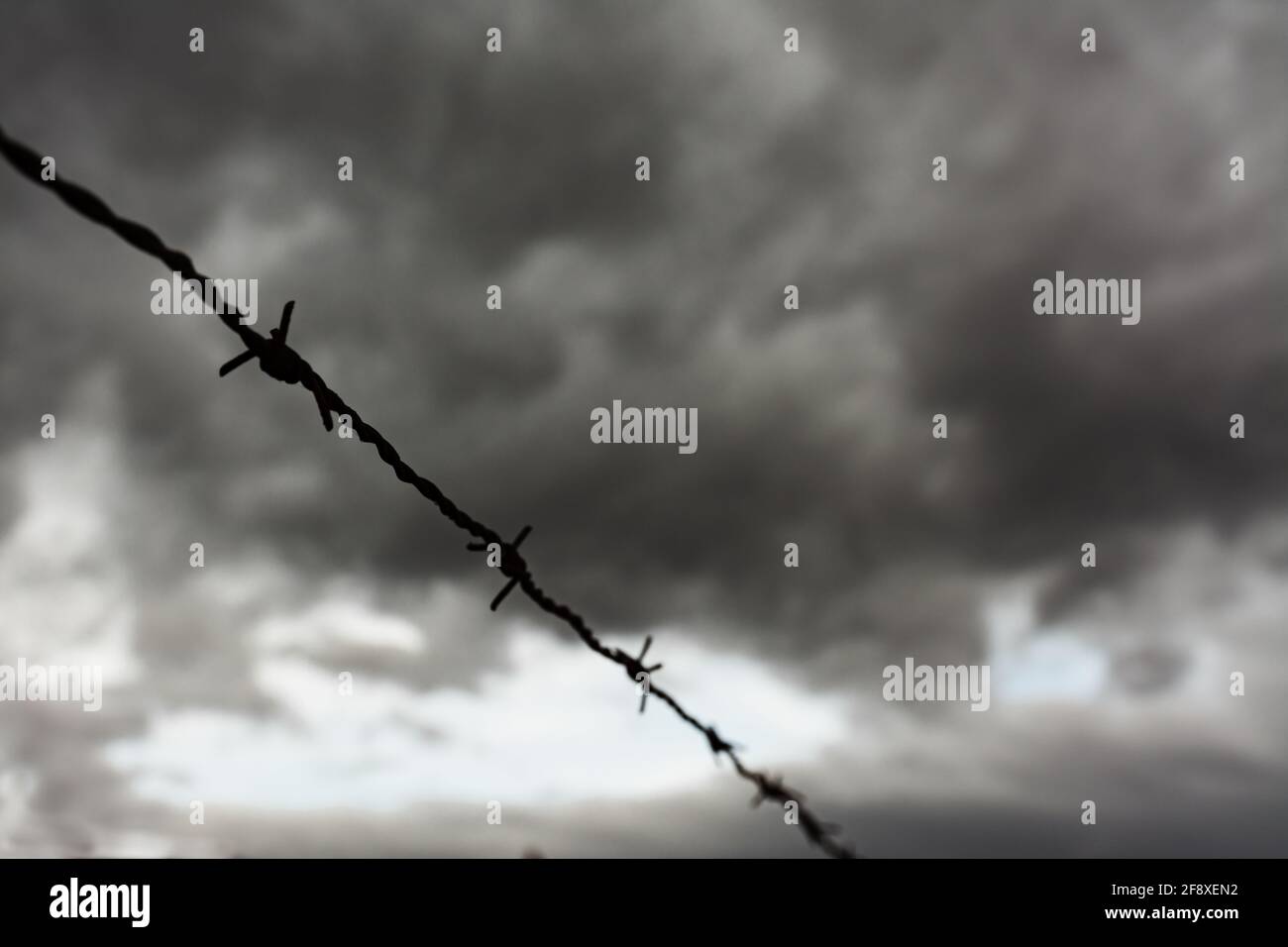 A row of barbed wire backlit with dark storm clouds in the background. Selective focus. Immigration, escape or freedom concept Stock Photo