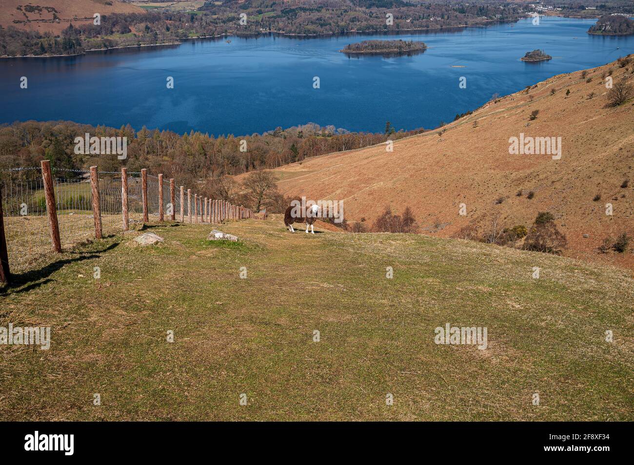 Walks around Derwent Warer Stock Photo