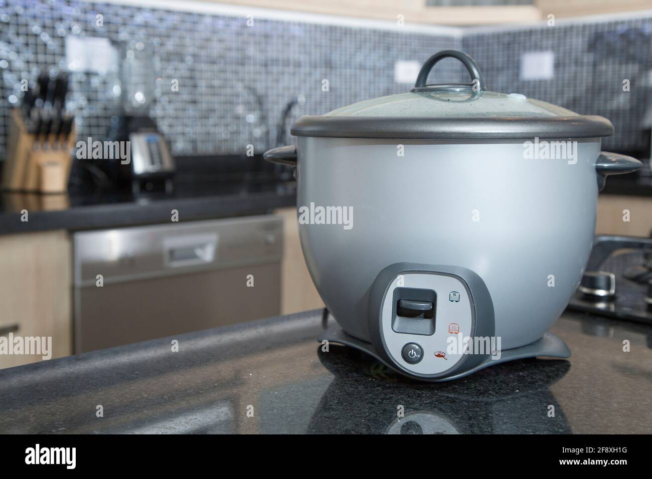 Rice cooker gray Stock Photo Alamy
