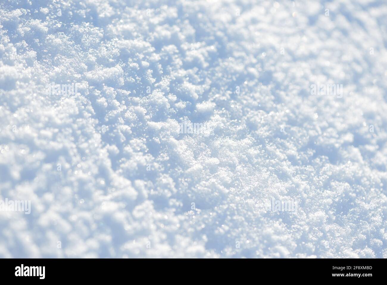 Fresh clean white snow background texture. Winter background with ...