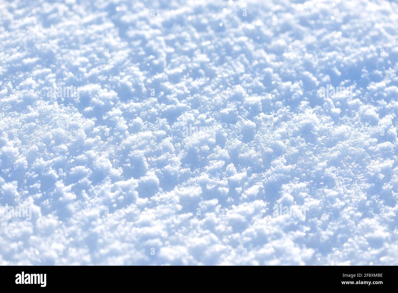 Fresh clean white snow background texture. Winter background with ...