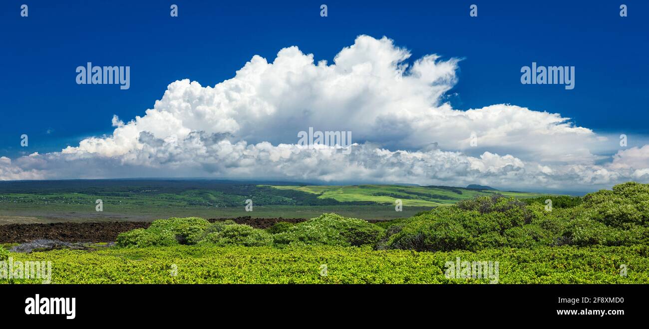 Scenic green landscape with blue sky near Kamilo Beach toward Naalehu in district of Kau, Hawaii Islands, USA Stock Photo