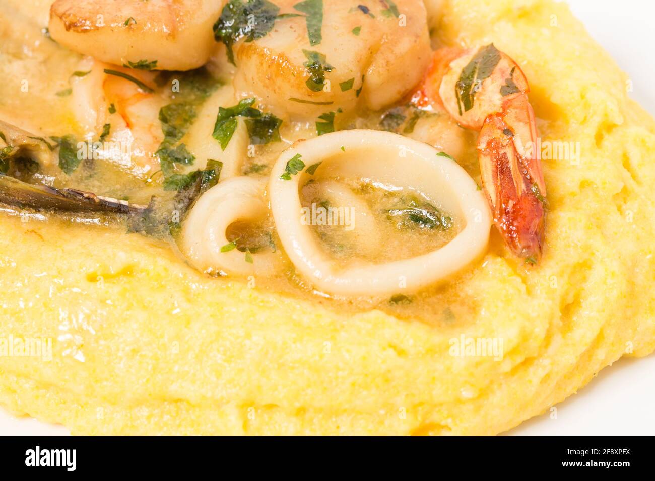 Delicious baked scallops and mussels with squid rings on a polenta corn