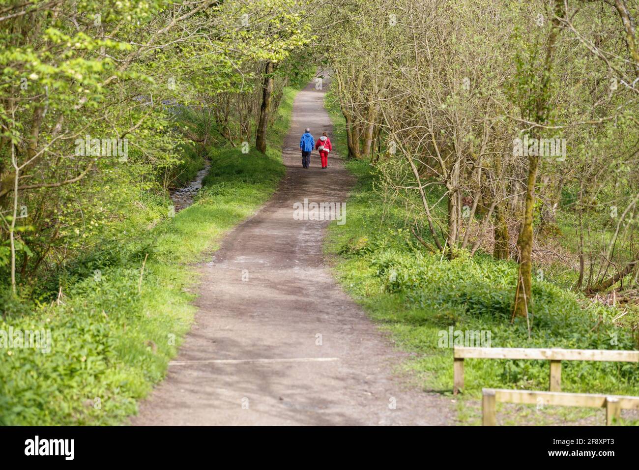 Couple walking in spring on a footpath in Parkhill Woods on the Semple Trail, Lochwinnoch, Renfrewshire, Scotland, UK Stock Photo