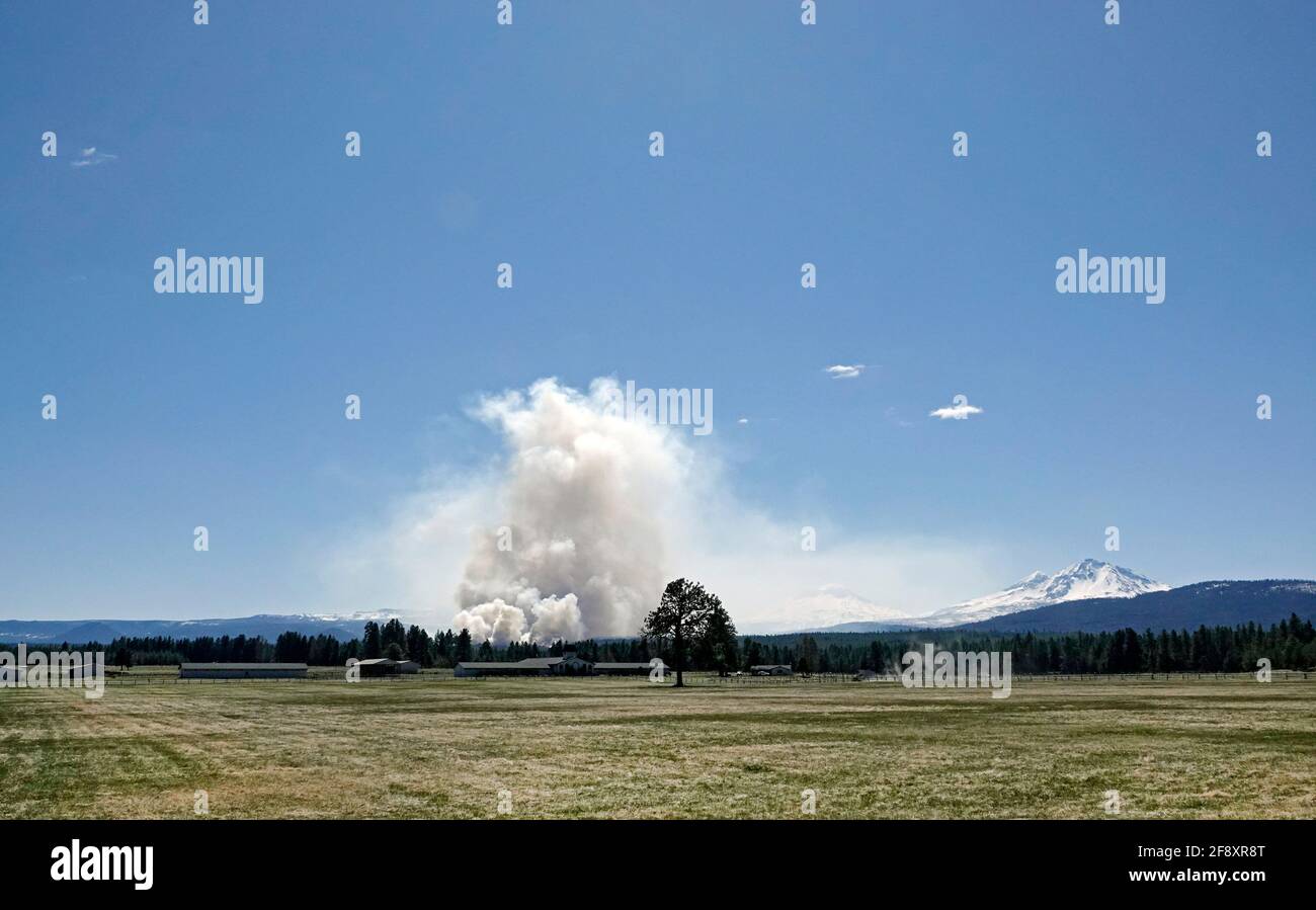 A massive controlled, or prescribed burn (proscribed), in the Deschutes National Forest near the town of Sisters, Oregon, burns underbrush and other f Stock Photo