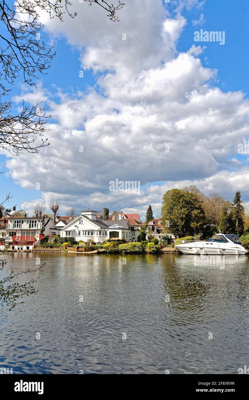 Sunbury Court Island viewed from the Walton side of the River Thames on a sunny spring day Surrey England UK Stock Photo
