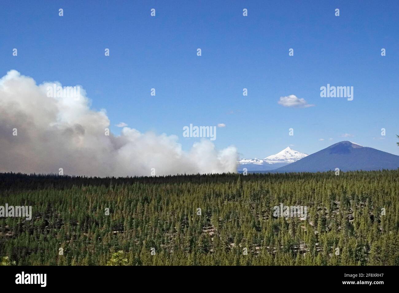 A massive controlled, or prescribed burn (proscribed), in the Deschutes National Forest near the town of Sisters, Oregon, burns underbrush and other f Stock Photo