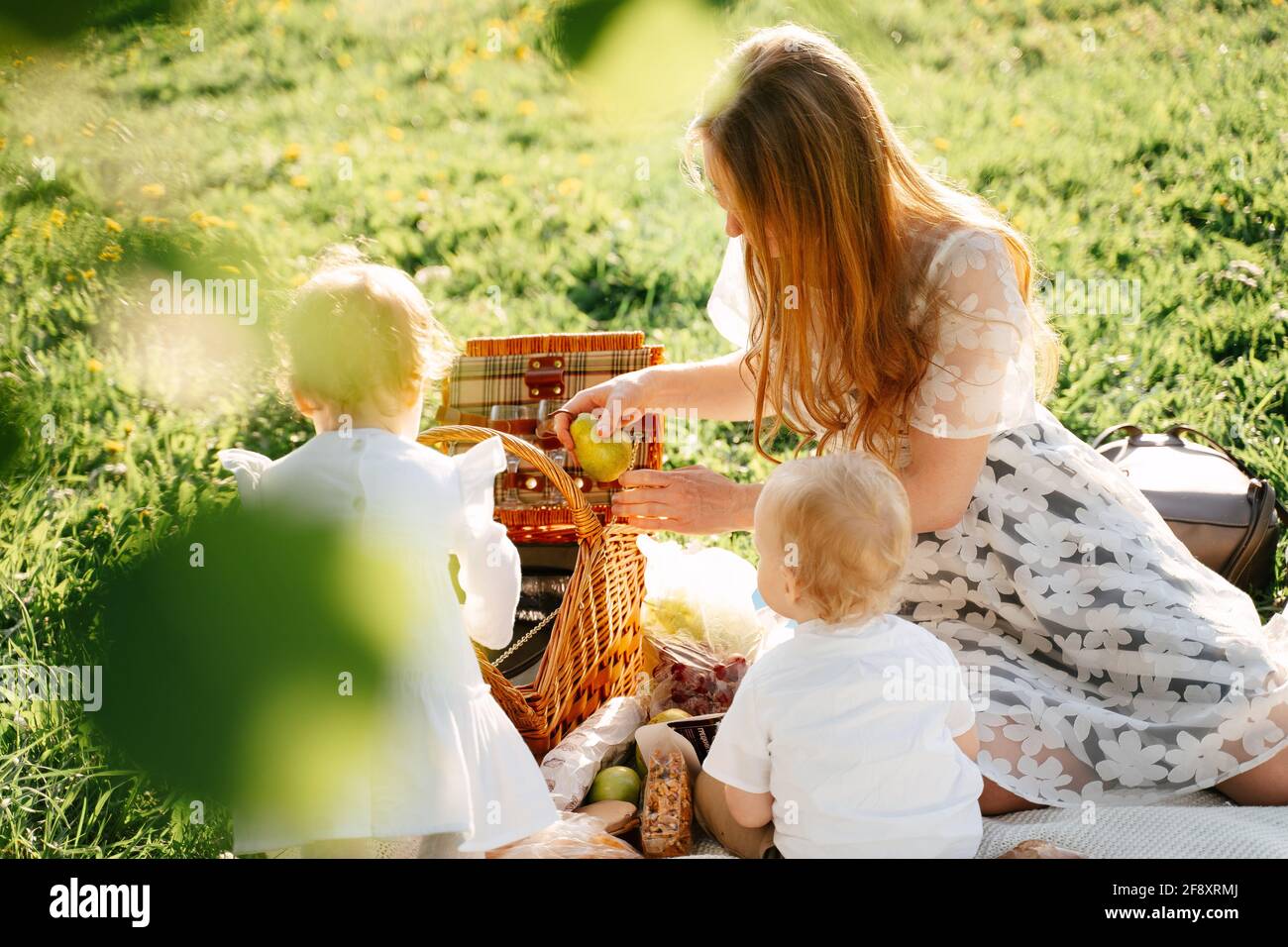Picnic mom with children in the summer on a green meadow in the field. Stock Photo