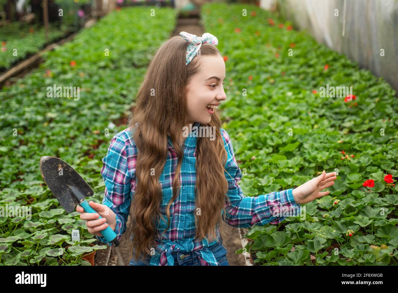 surprised happy teen girl florist care pot plants in surprised happy teen girl florist care pot plants in