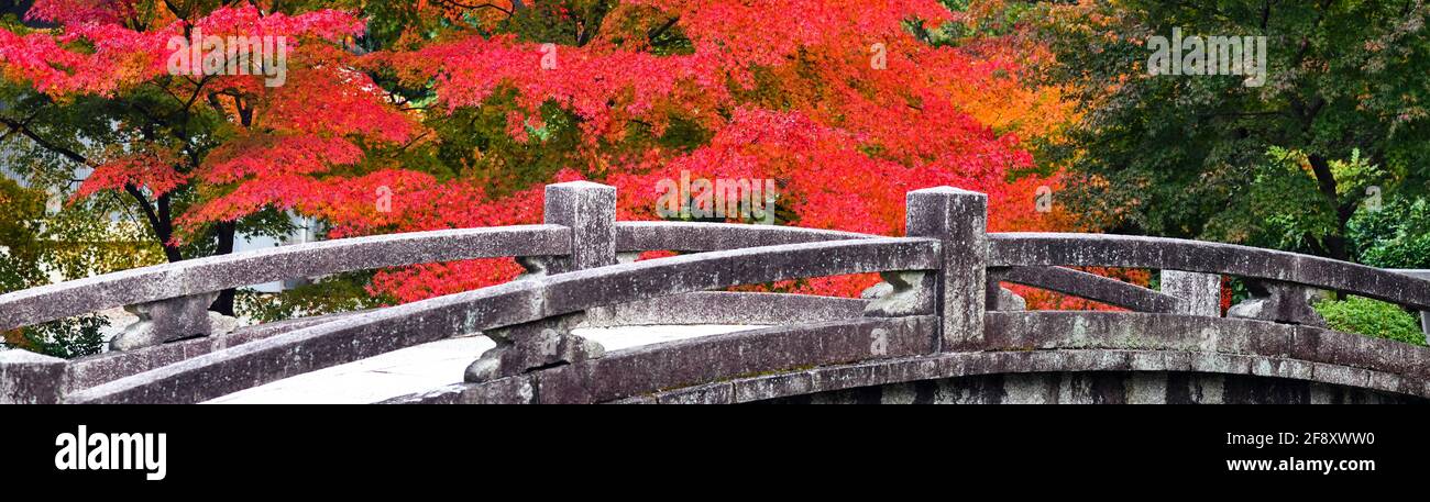 Japanese maple leaves in autumn colors and bridge, Chion-in Temple, Kyoto, Japan Stock Photo
