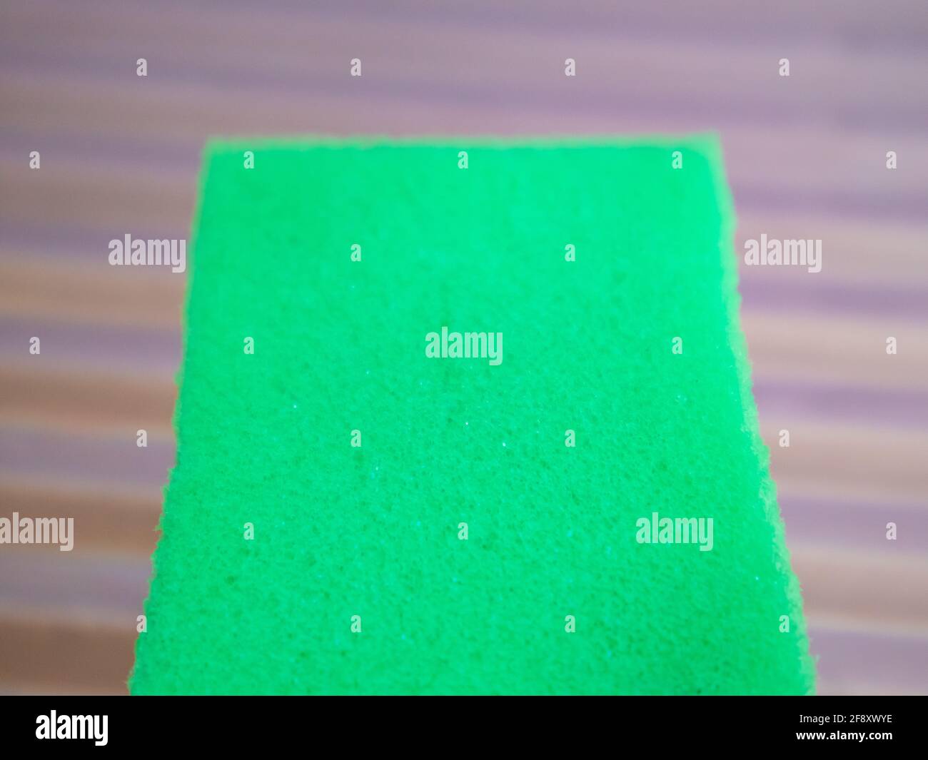 Cape Town, South Africa 06042021 Creative view of bright green dish