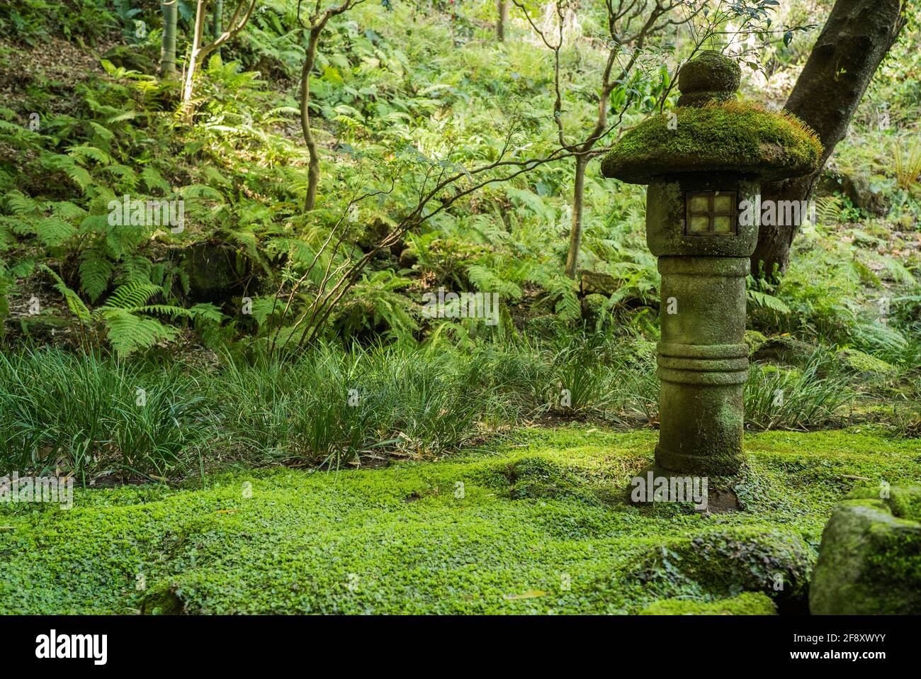 Toro Japanese Stone lantern covered in moss in Hokokuji Temple