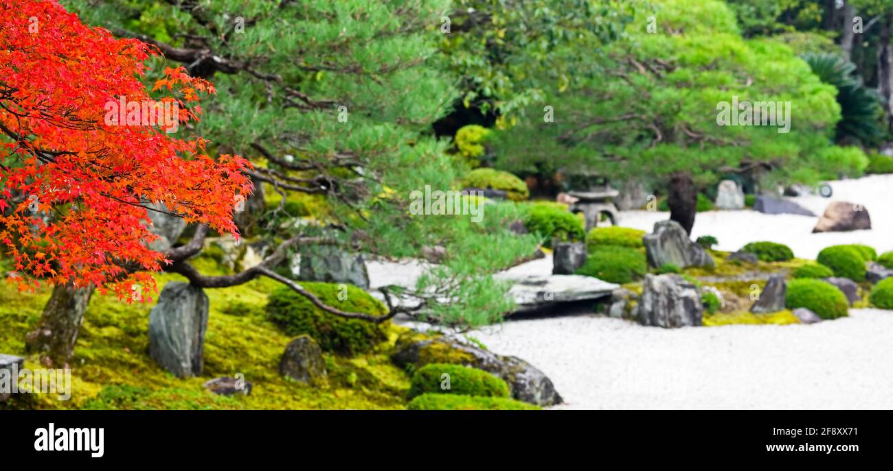 Autumn colors in Japanese garden, Kodai-in Temple, Kyoto, Japan Stock Photo