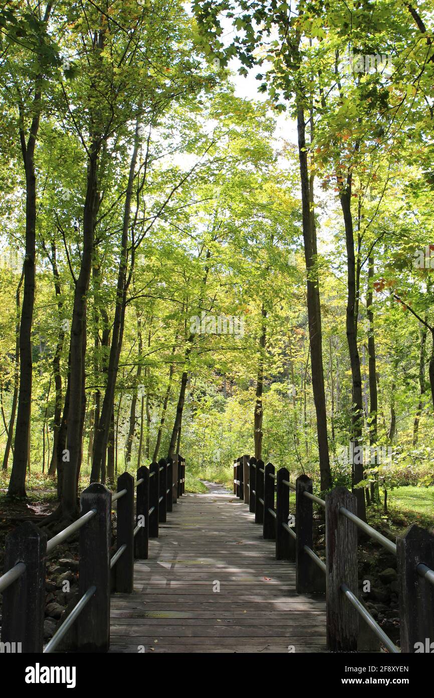 A wood bridge leading into a sunny grove of trees at Petrifying Springs Park in Kenosha, Wisconsin, USA Stock Photo