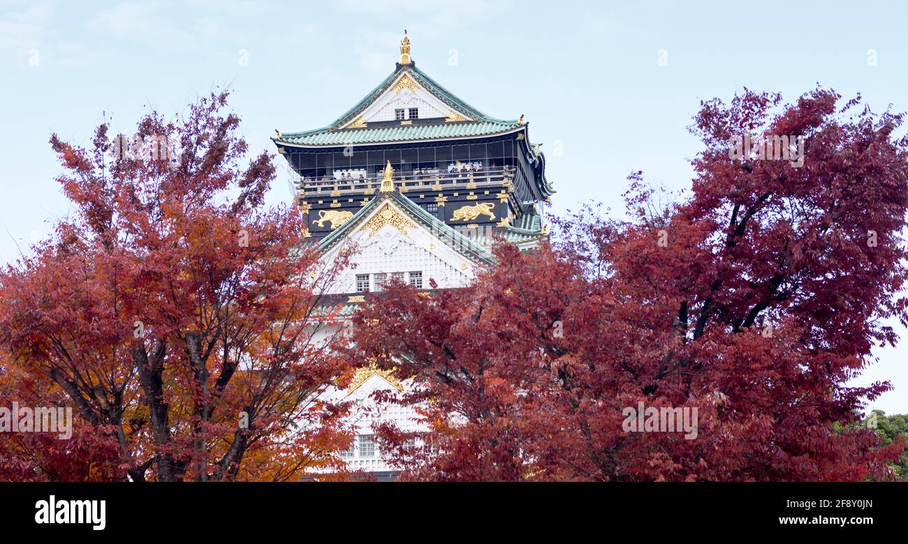 Osaka Castle and autumn colored trees, Osaka, Japan Stock Photo