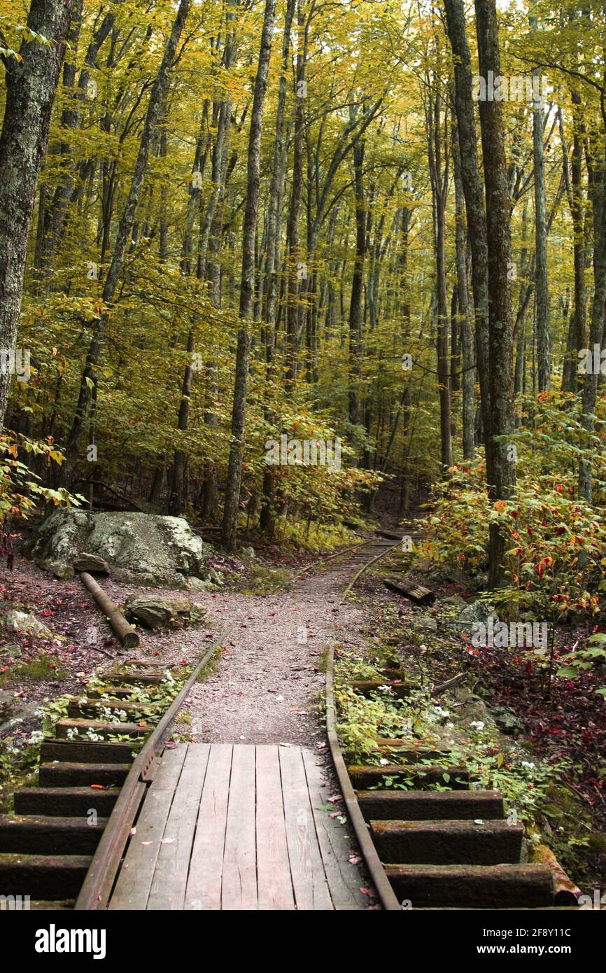 A section of the Old Logging Railroad, built in 1919, reconstructed on the Blue Ridge Parkway in Virginia, USA Stock Photo