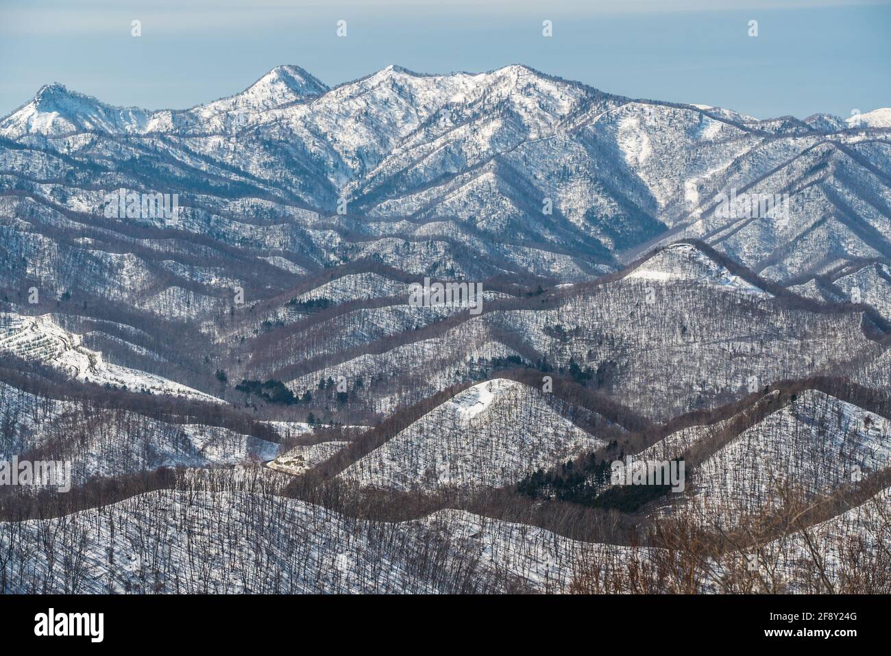 Winter landscape. Japanese mountains in the snow. Mt Moiwa view of