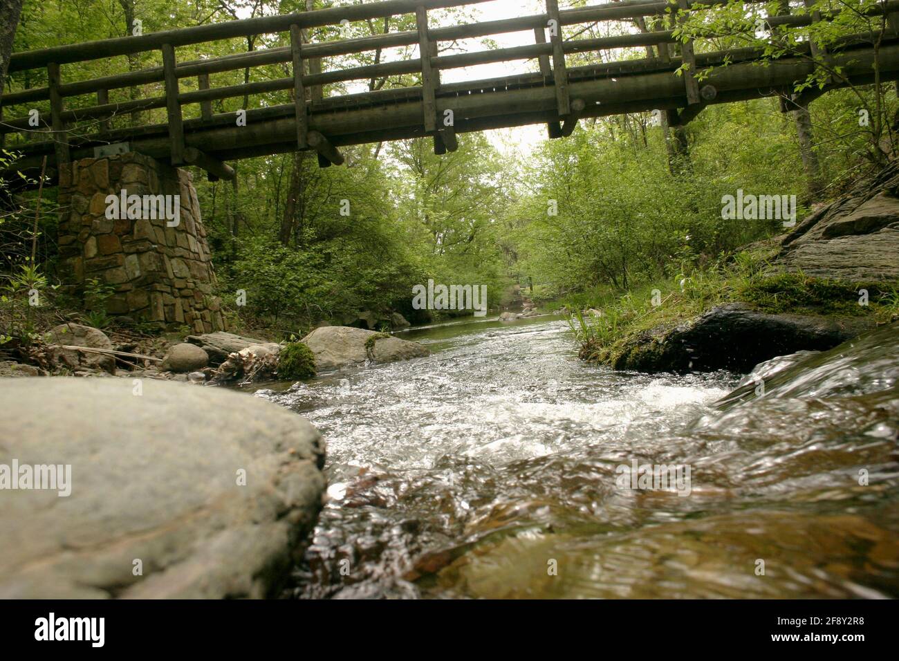 Blue Ridge Mountains, VA, USA. A foot bridge on the Appalachian Trail. Stock Photo