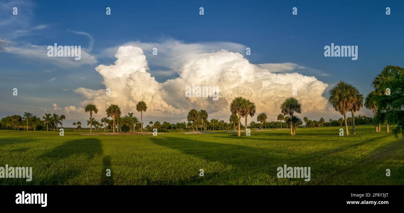 Large storm clouds, Venice, Florida, USA Stock Photo