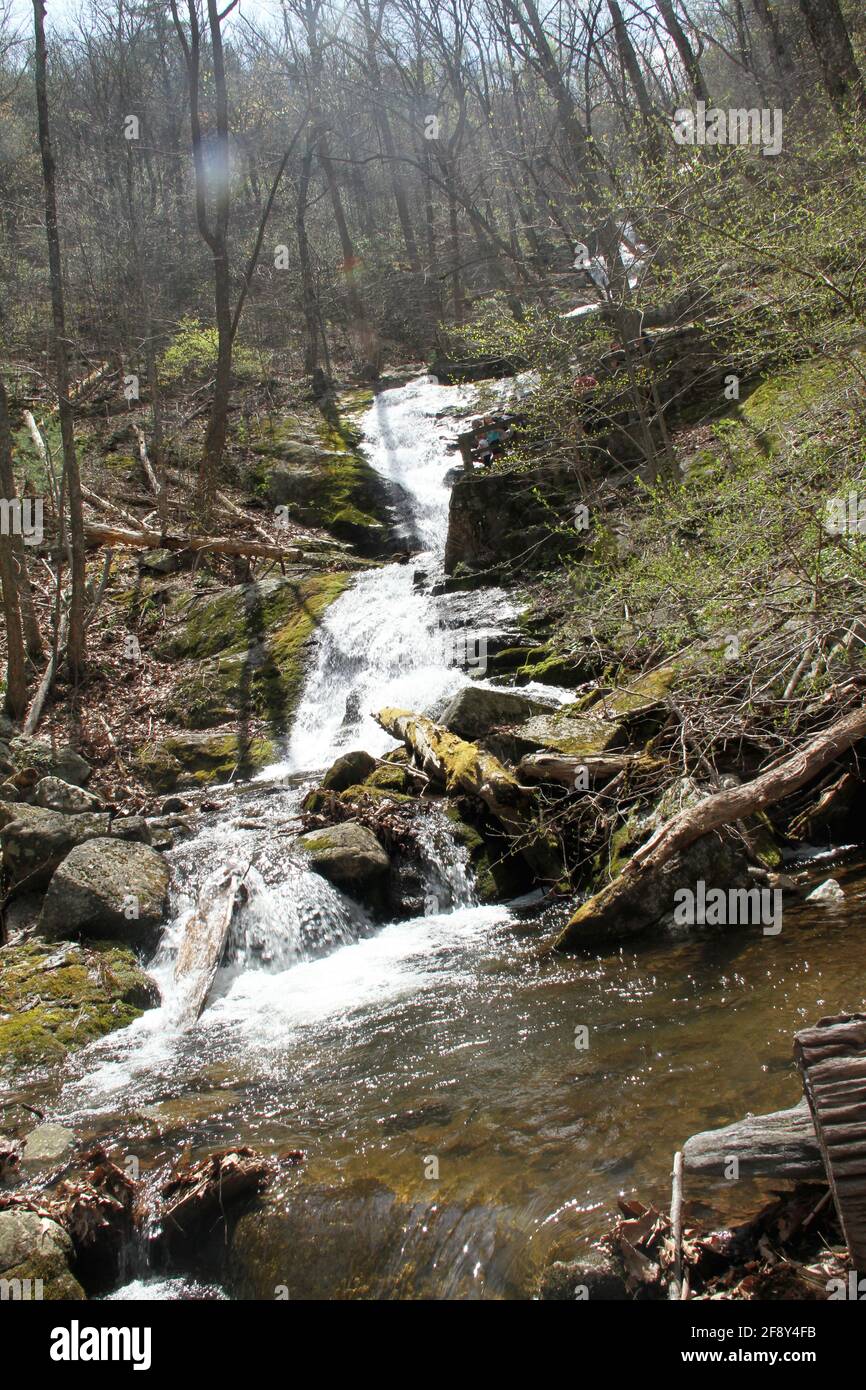 Beautiful Fresh Creek Water Cascading Over Rocks. Section Of The 