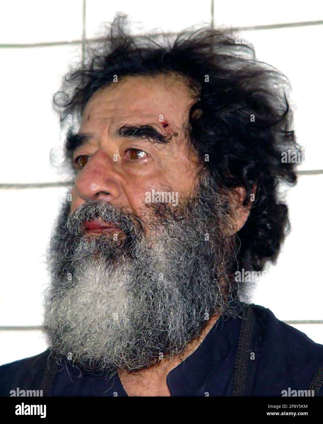 Saddam Hussein. Portrait of the former President of Iraq, Saddam Hussein Abd al-Majid al-Tikriti 1937-2006). US Army photograph taken shortly after his capture in Tikrit, Iraq in 2003. Stock Photo