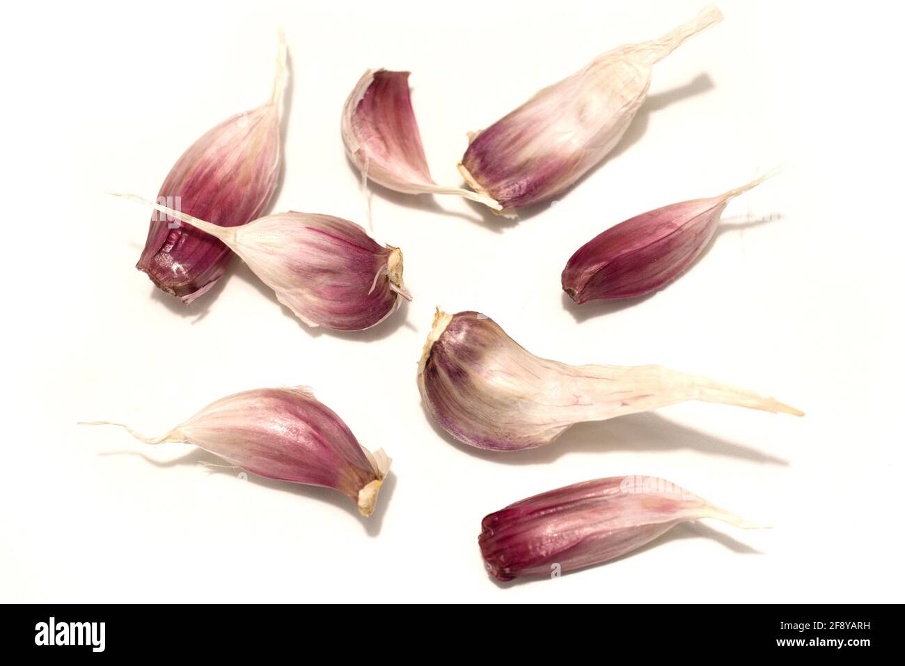 Eight cloves of garlic on a white background. Studio photography. Stock Photo