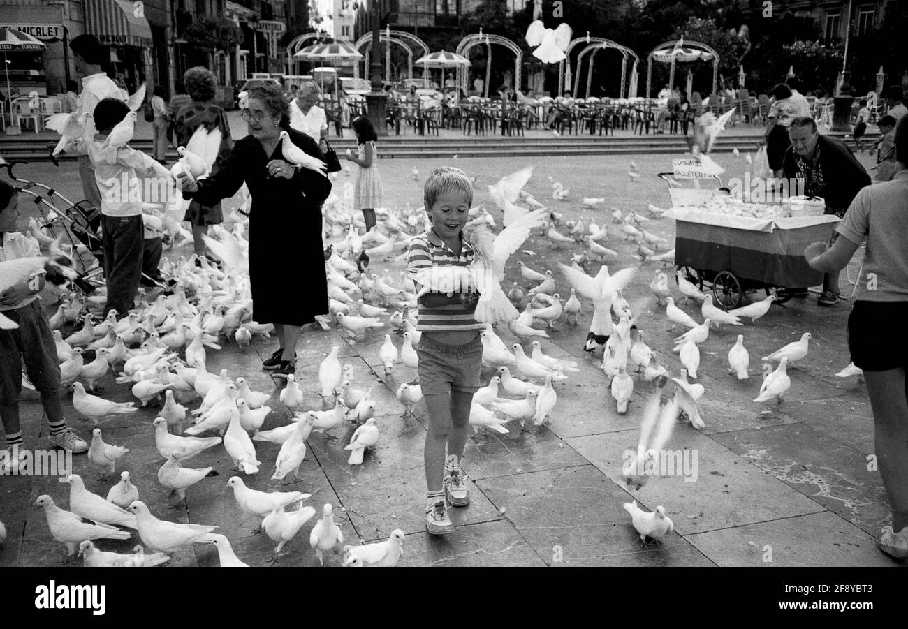 Old lady feeding birds hires stock photography and images Alamy