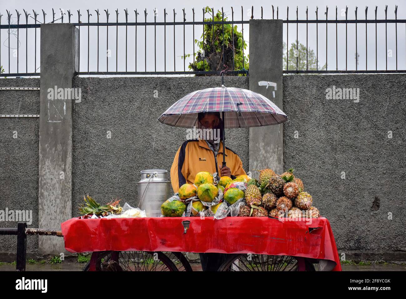 Kashmir Fruits High Resolution Stock Photography and Images Alamy