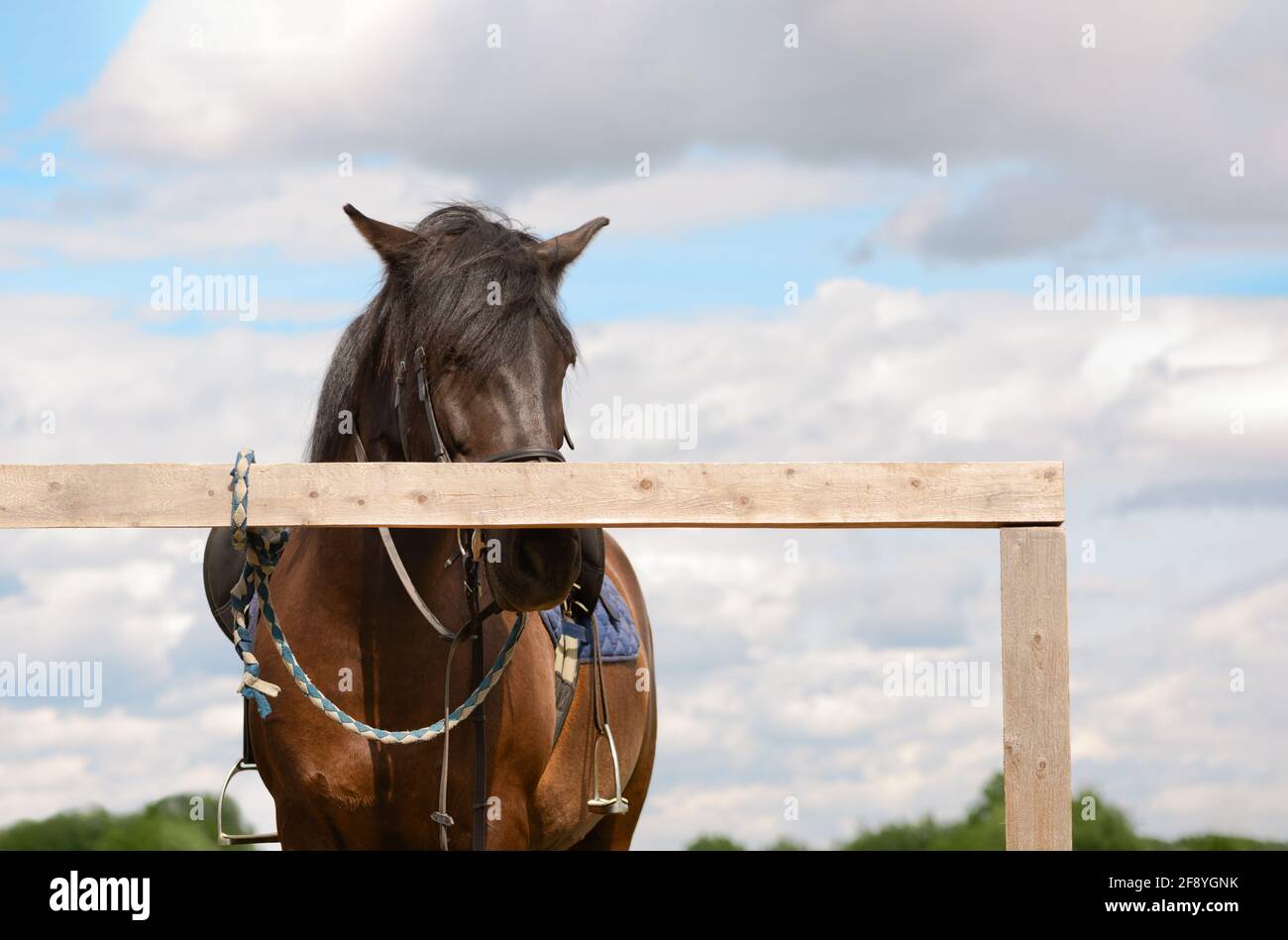 One saddled horse is standing at a wooden hitching post. Stock Photo