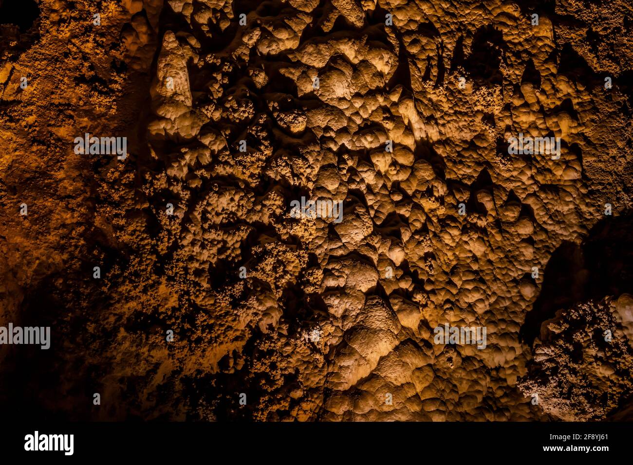 Cave popcorn on celing of the Green Lake Room deep underground in