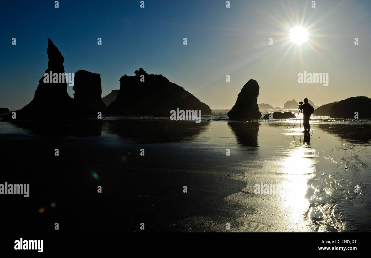 Photographer and sea stacks on Bandon Beach at sunrise, Bandon, Oregon, USA Stock Photo