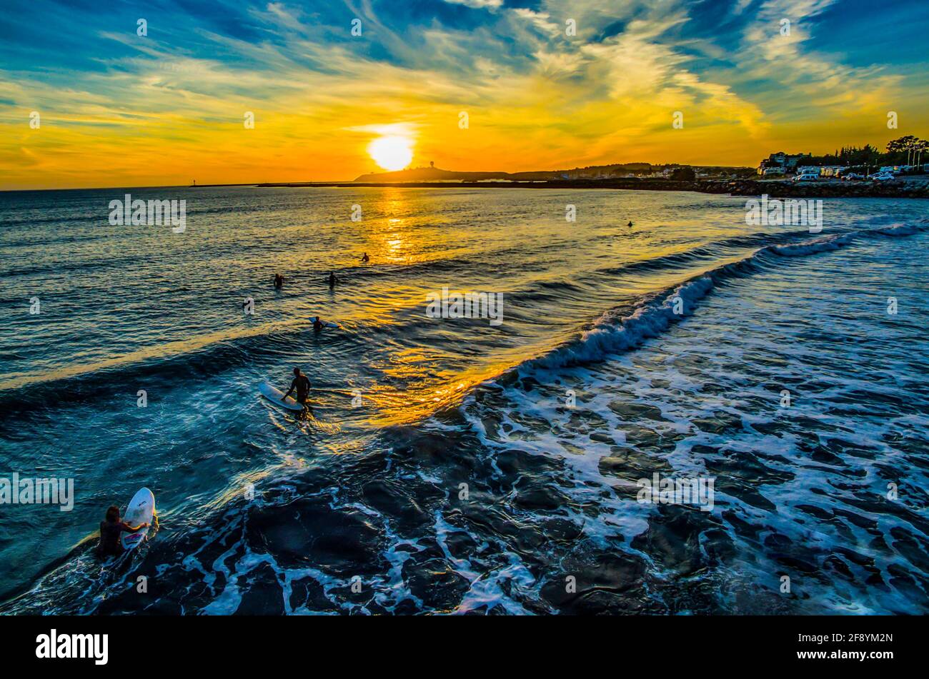 Surfers in sea at sunset, Half Moon Bay, California, USA Stock Photo