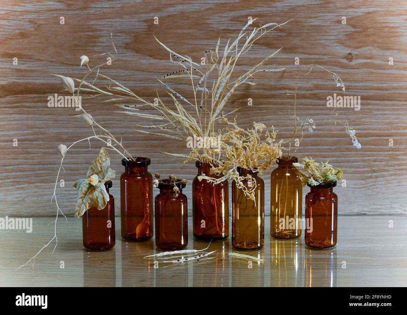 Alternative medicine. Ripe and dried parts of plants are straw colored. Herbs and seeds in brown glass bottles. Stock Photo
