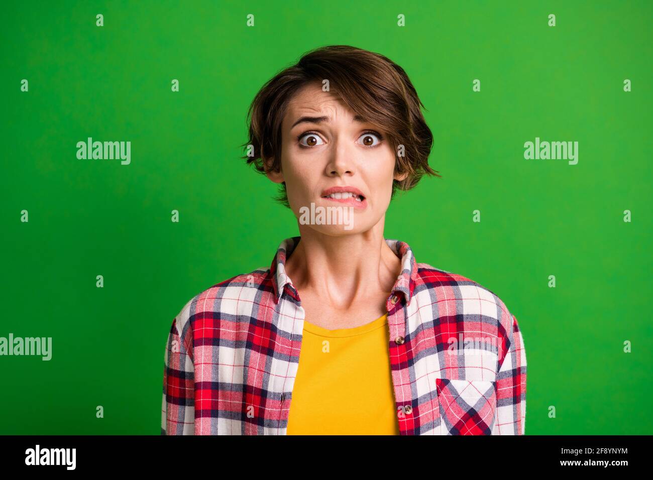 Close up portrait of charming scared person bite lips staring checkered clothing isolated on green color background Stock Photo