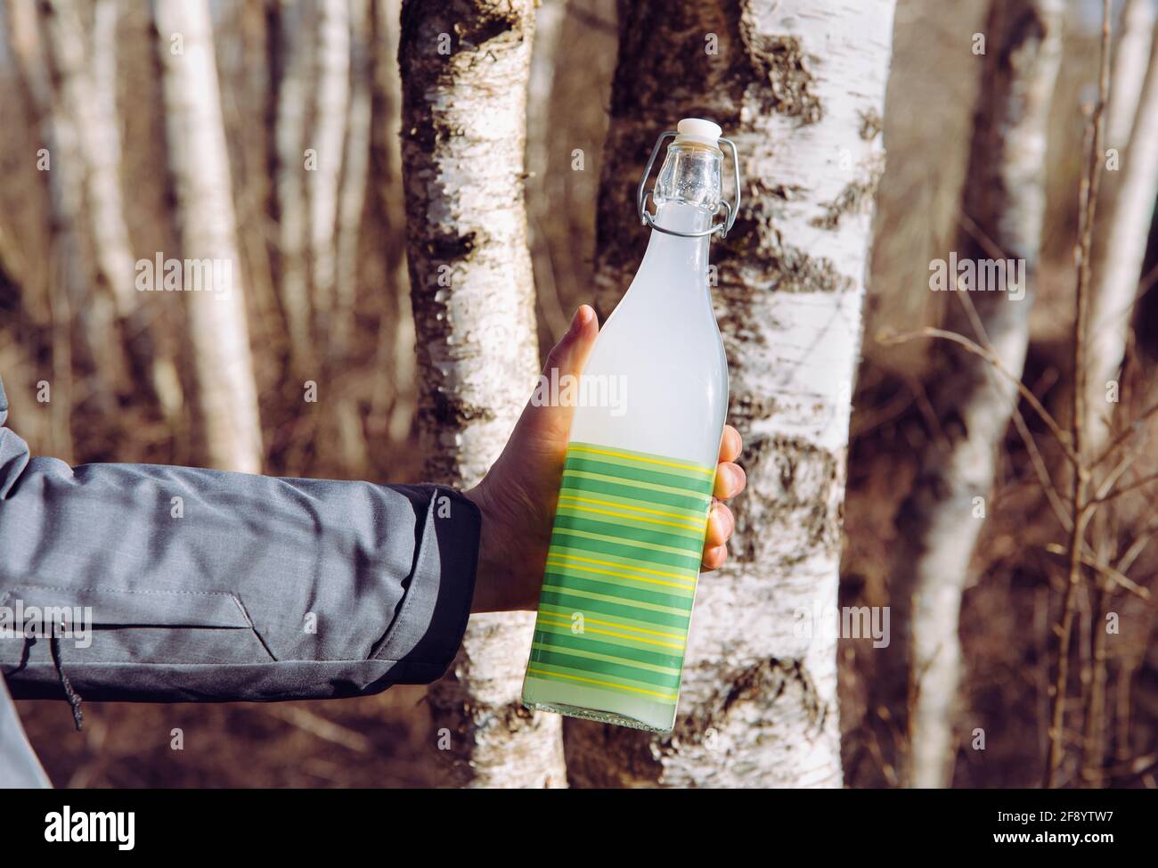 Fermented birch(Betula) sap in glass container bottle. Hand holding healthy 3 days fermented drink with flour and sugar in bottle. Stock Photo
