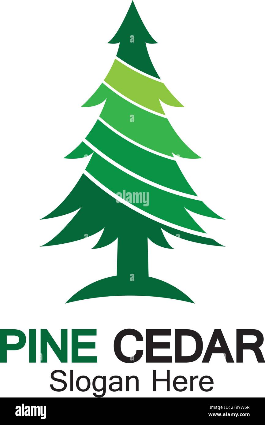 Cedar tree logo template vector icon design Stock Vector
