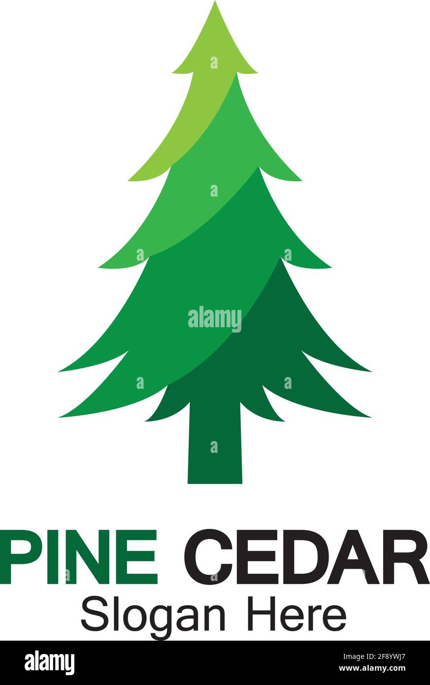 Cedar tree logo template vector icon design Stock Vector Image & Art