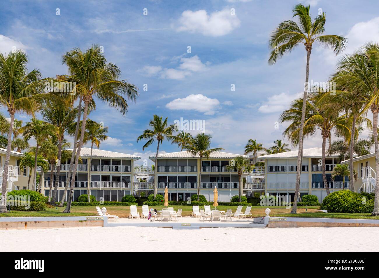 Beachfront Condominiums, Palm Trees and along the beach in Naples, Florida, USA Stock Photo