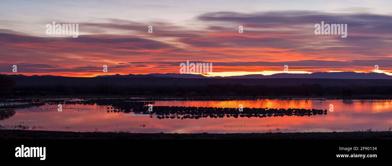Scenic landscape of Bosque Del Apache National Wildlife Refuge at dusk, New Mexico, USA Stock Photo