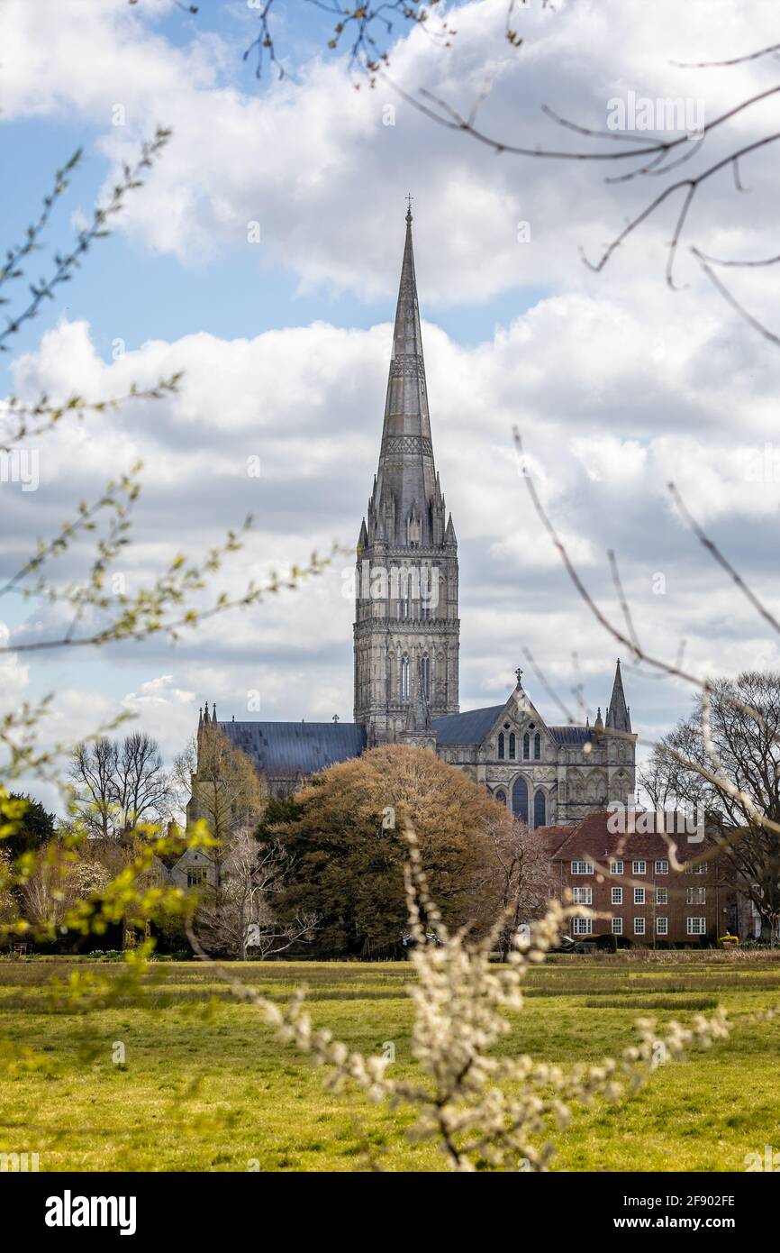 View of Salisbury Cathedral across the water meadow in Salisbury, Wiltshire, UK on 15 April 2021 Stock Photo