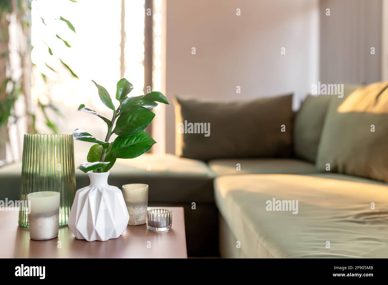 Relaxing time at comfort home with candles and vase with zamioculcas at wooden table. Green sofa and rays of sun. High quality photo Stock Photo
