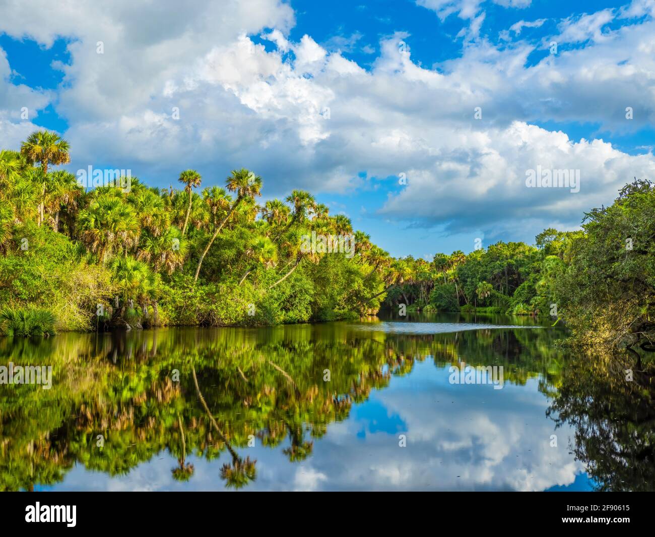 Trees and clouds reflected in river, Myakka River, Venice, Florida, USA Stock Photo