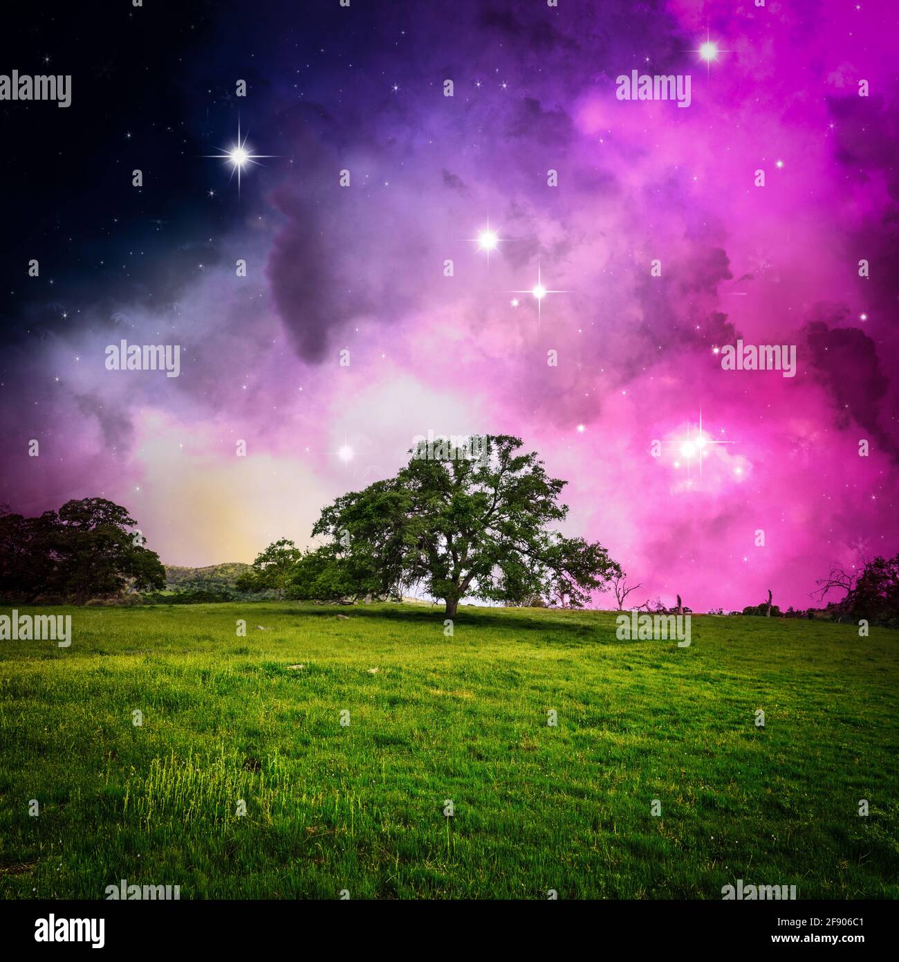 Magical purple night sky with stars and a rural landscape, USA Stock Photo