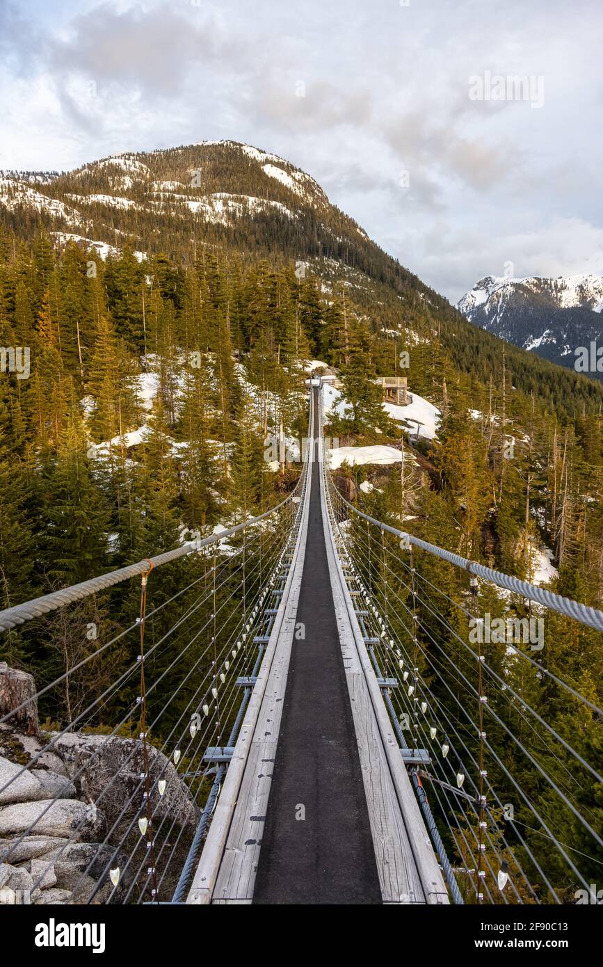 Suspension Bridge on Top of a Mountain in Squamish Stock Photo Alamy