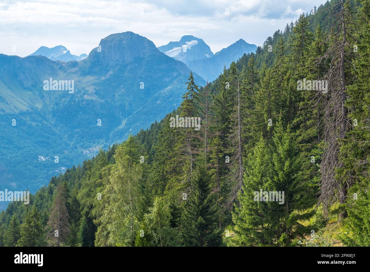 Auris, Isere, France - August 22, 2019: Auris en Oisans resort in Northern Alps in summer. The resort is bordered by the highest spruce forest in Euro Stock Photo