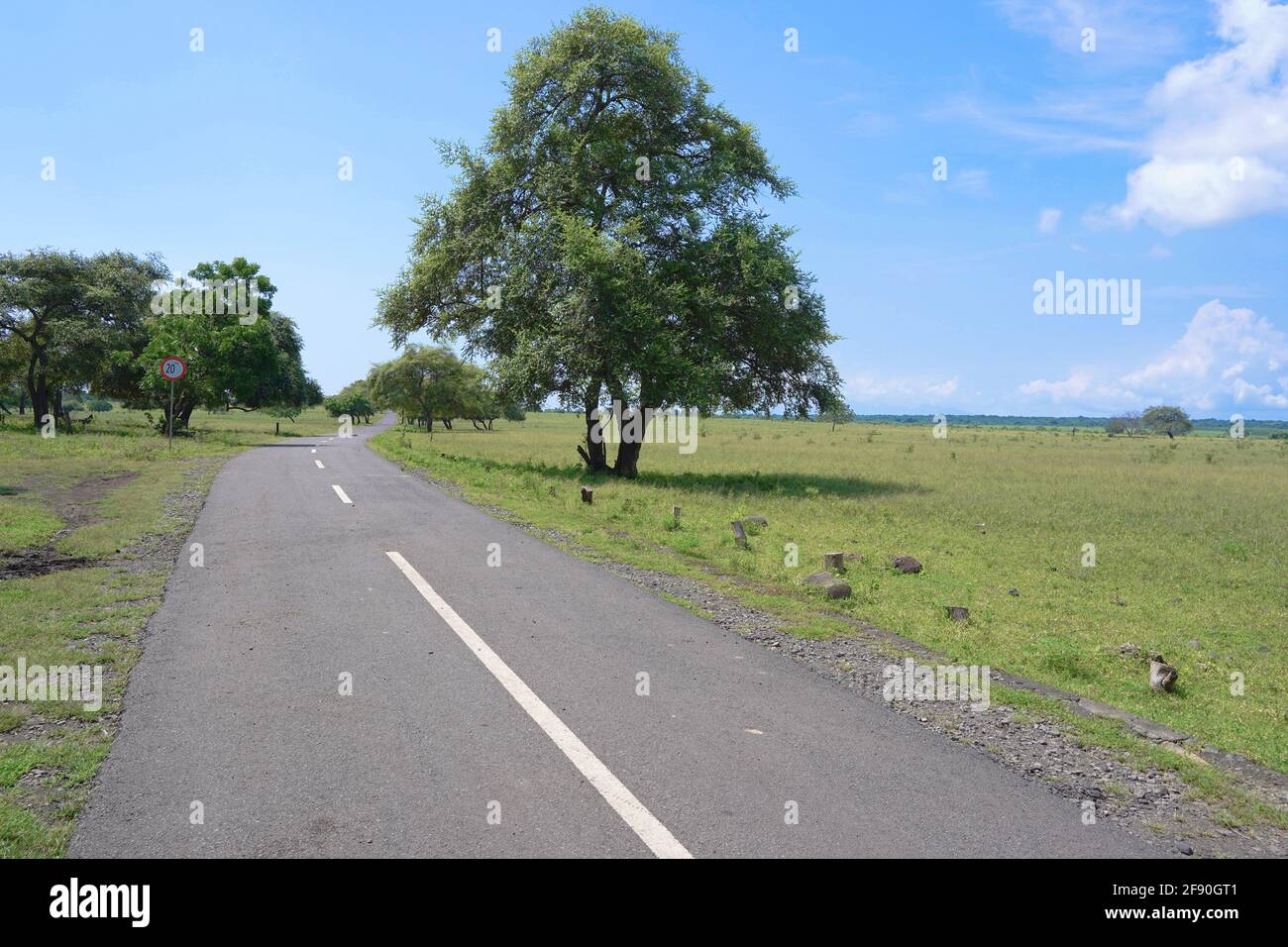 Smooth road passing through picturesque Baluran National Park, Java, Indonesia Stock Photo