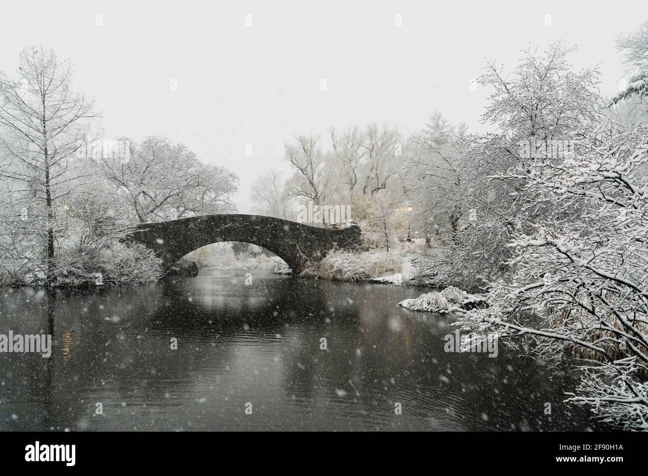 Arched footbridge central park hi-res stock photography and images - Alamy