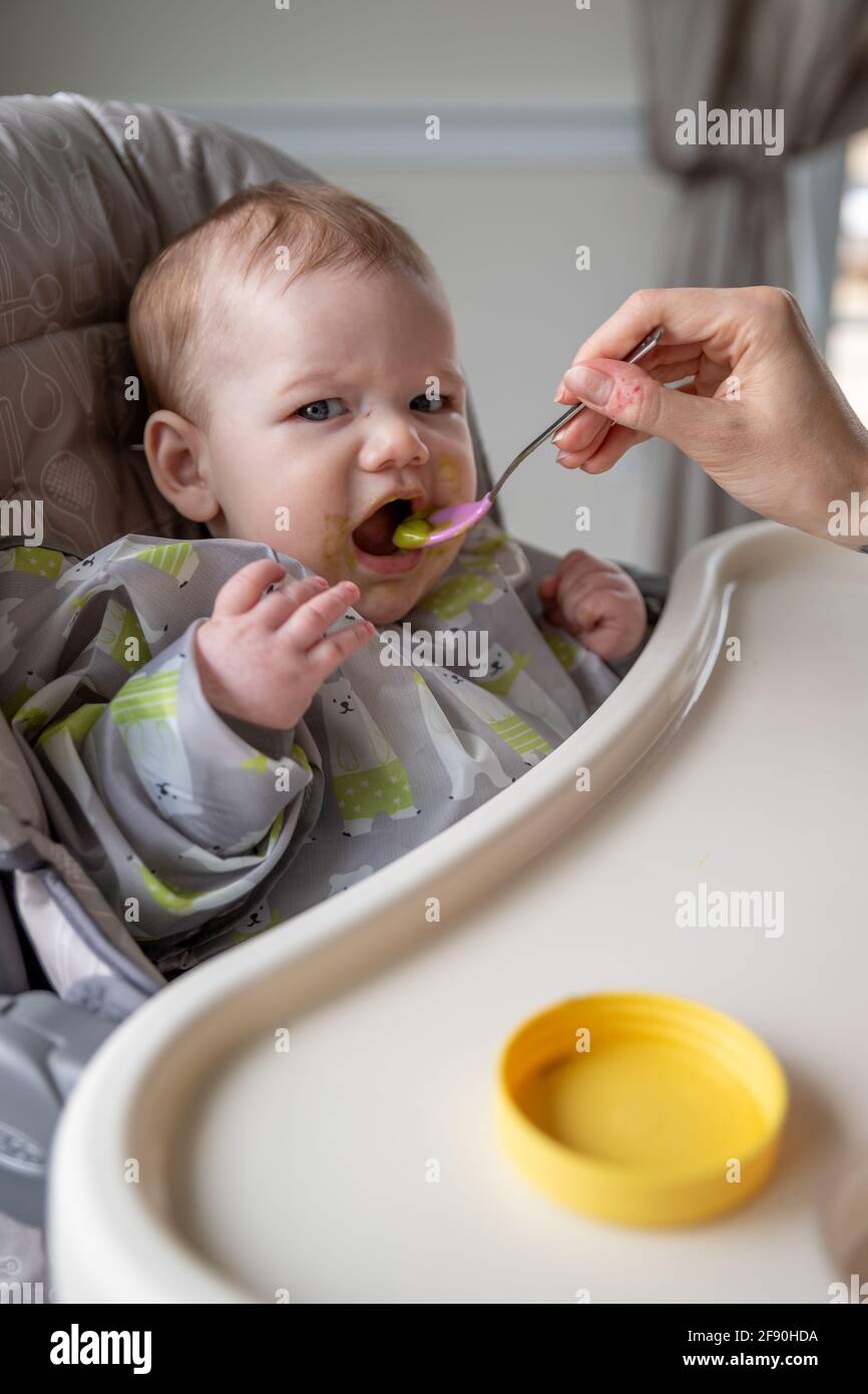 Baby boy taking a bite of avocado. Stock Photo