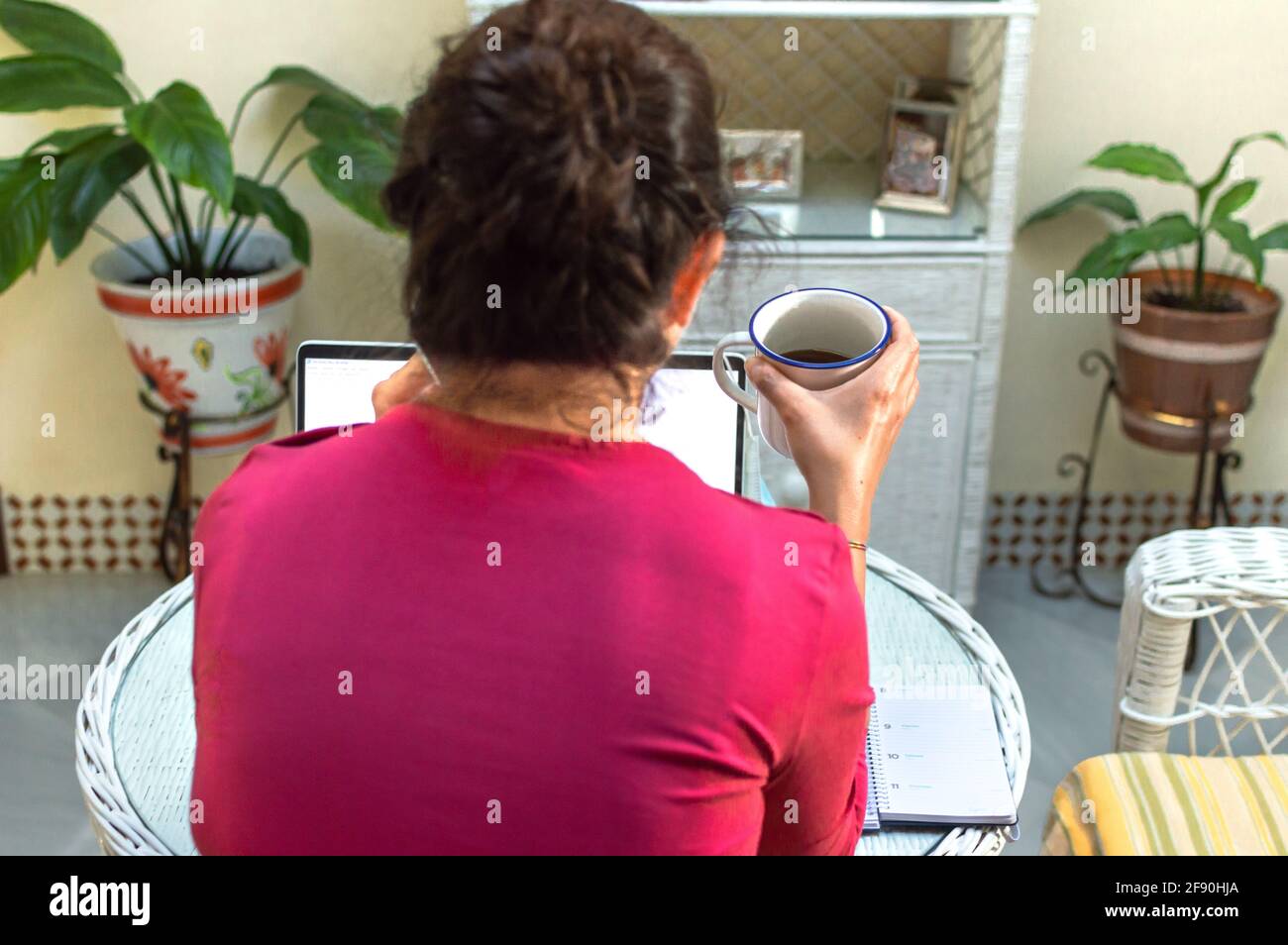 Back view of woman using a laptop and drinking a cup of coffee in a place with plants at home. Stock Photo