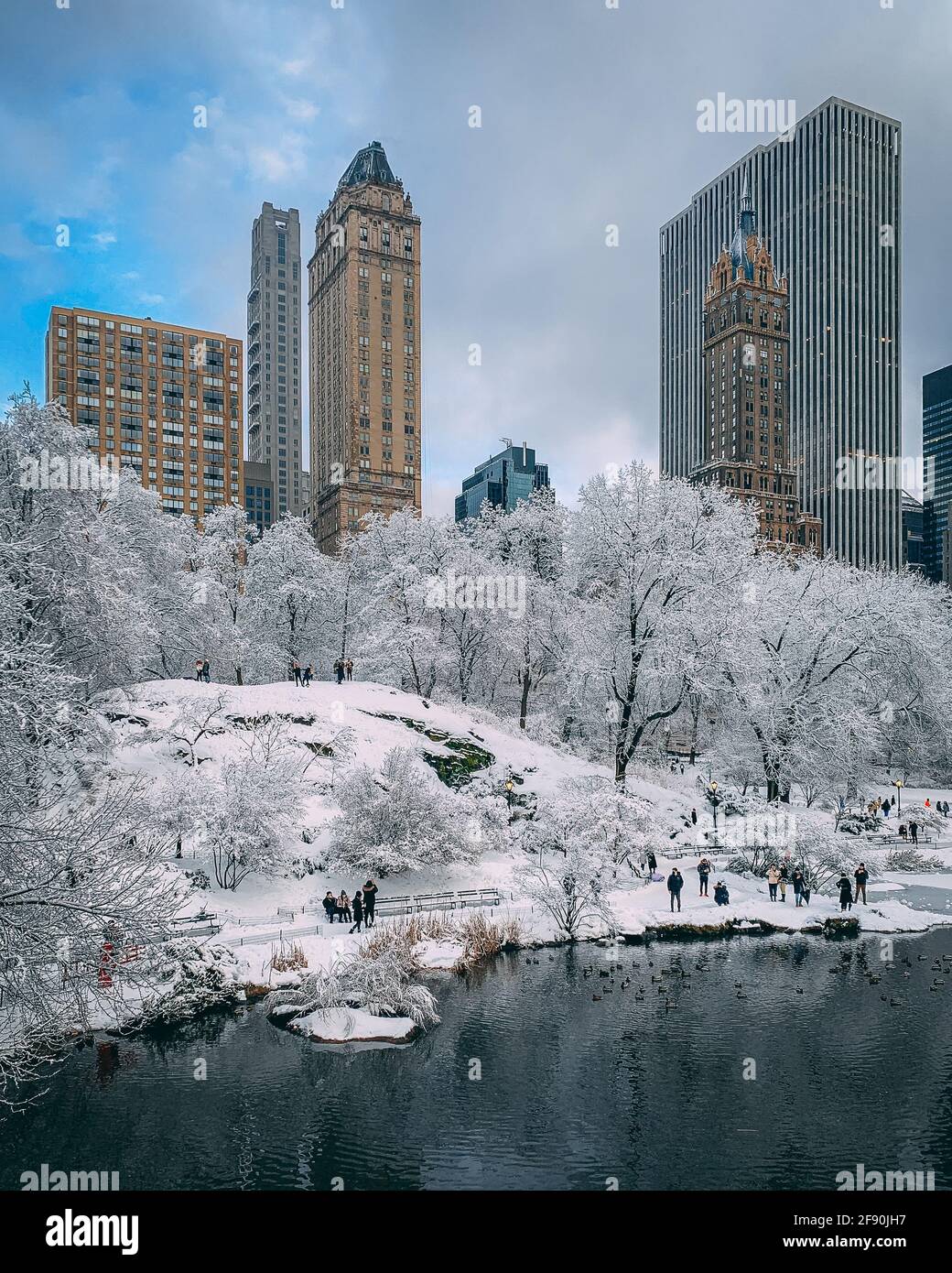 New york central park winter hi-res stock photography and images - Alamy